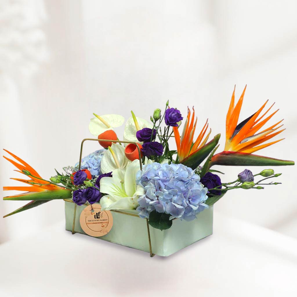 Tropical Surprise The Luxury Floret