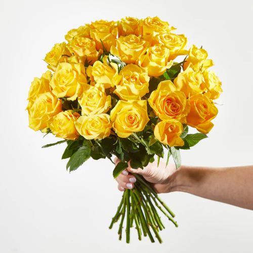 Yellow Roses The Luxury Florets
