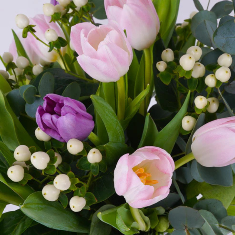 Midnight Blush – Deep Pink Tulip Charm The Luxury Florets