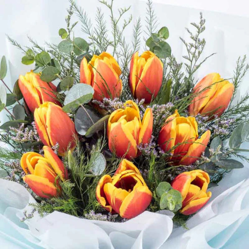 Sun-Kissed Tulip Blooms The Luxury Florets