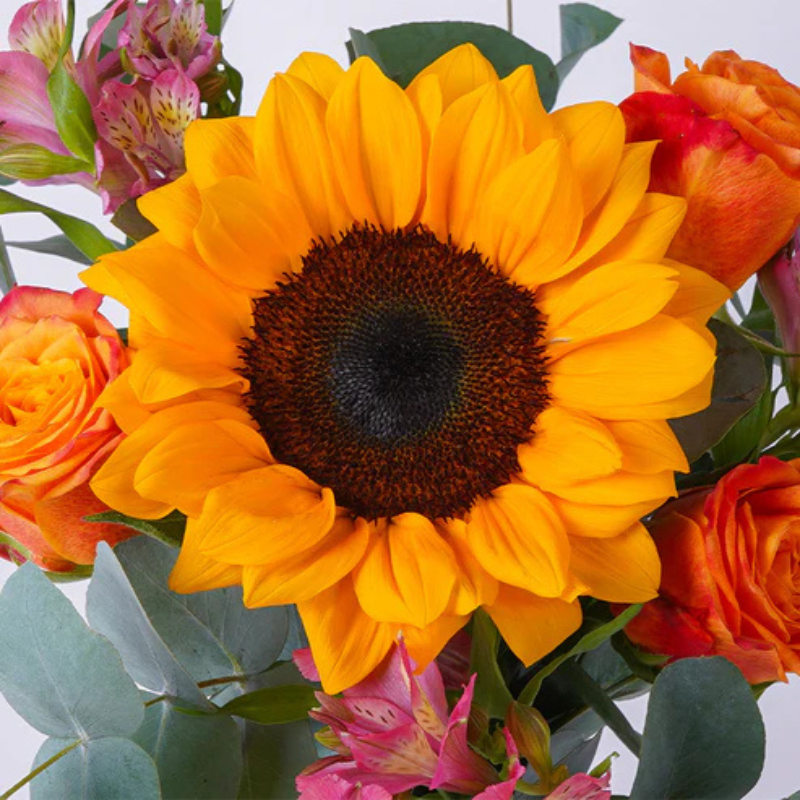 Sunny Days Floral Hug The Luxury Florets
