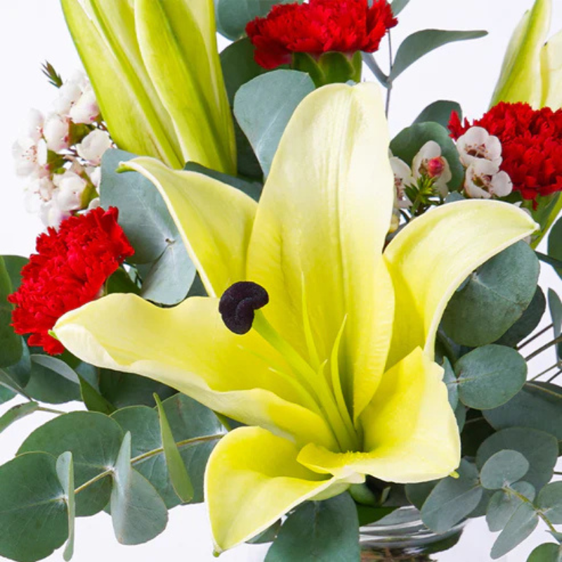 Golden Glow: Asiatic Lily Sunshine Collection The Luxury Florets