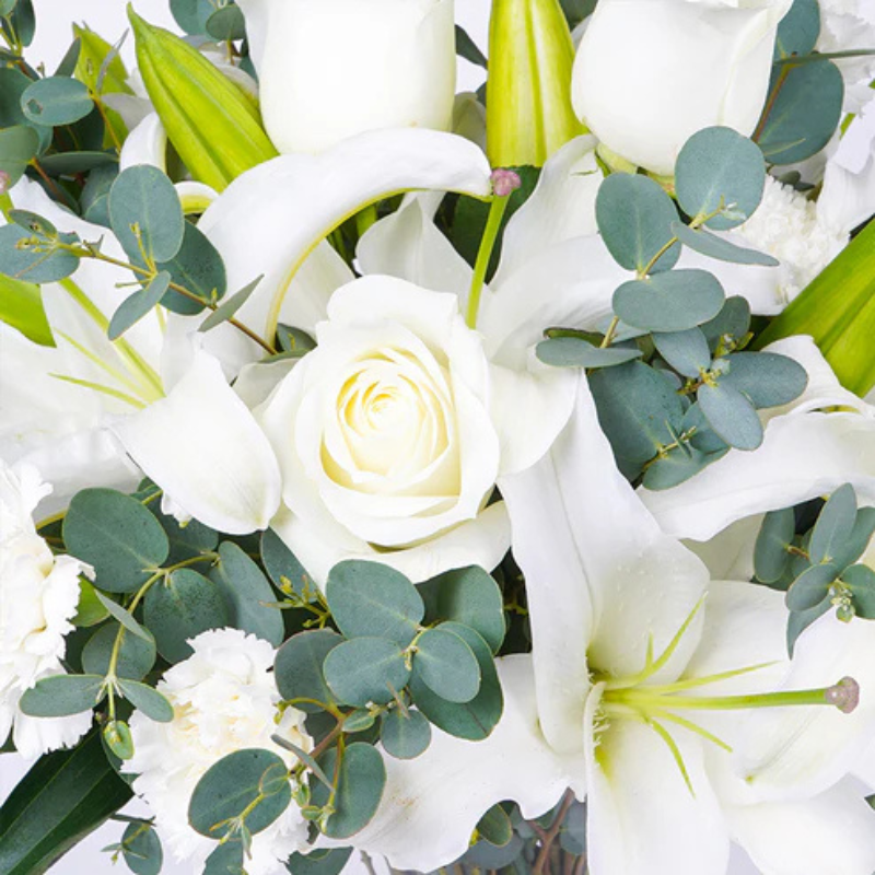 Eternal Embrace: White & Purple Lily Harmony The Luxury Florets
