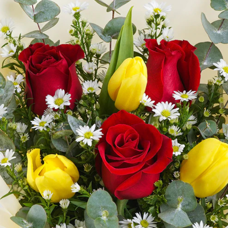 Blushing Beauty Tulip Bunch The Luxury Florets