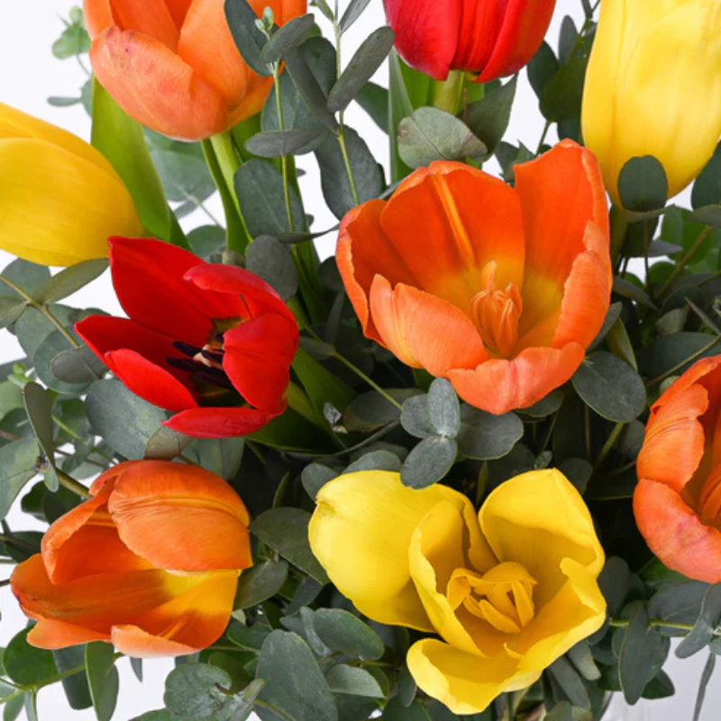 Whispers of Spring Tulip Bouquet The Luxury Florets