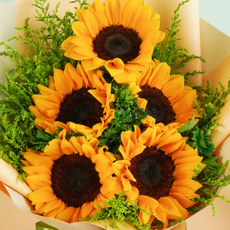 Morning Light Sunflower Bliss The Luxury Florets