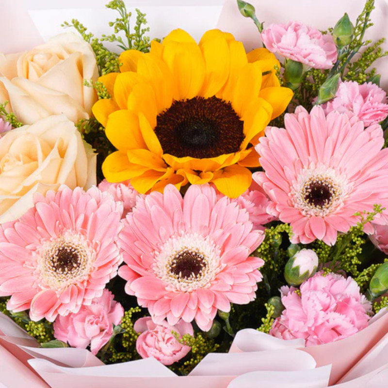Golden Radiance – The Sunflower Story The Luxury Florets