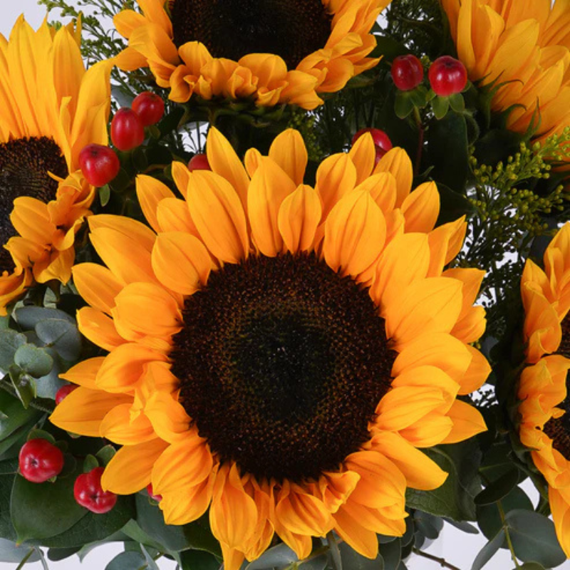 Golden Hour Blooms The Luxury Florets