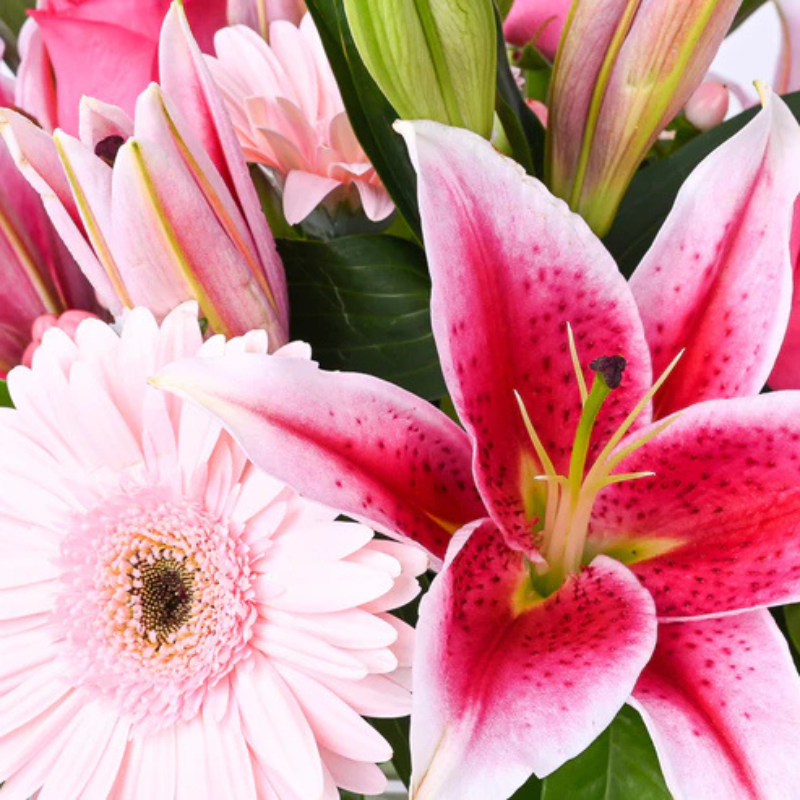 Lily Luxe: Premium Scented Floral Delight The Luxury Florets
