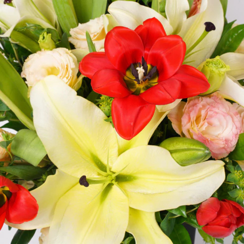 Petals of Promise – Tulip Bouquet The Luxury Florets