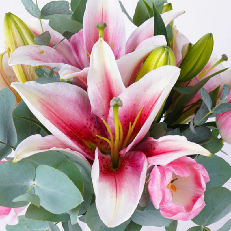 Stargazer Lily Bouquet – Bold, Beautiful & Perfect for Celebrations The Luxury Florets