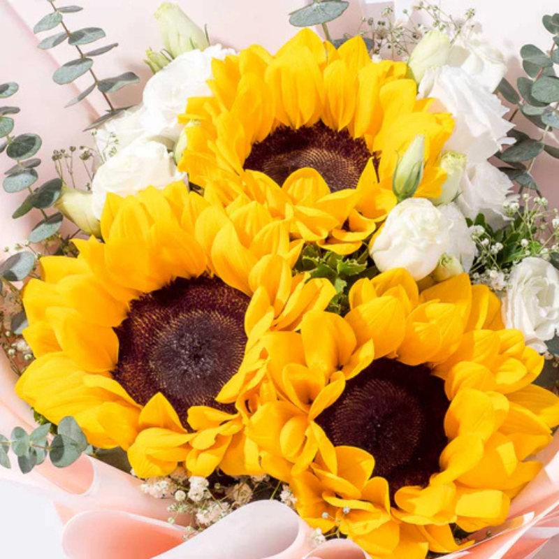 Radiant Rays Sunflower Charm The Luxury Florets