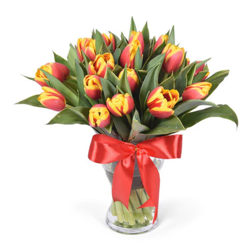 Pastel Tulip Garden The Luxury Florets