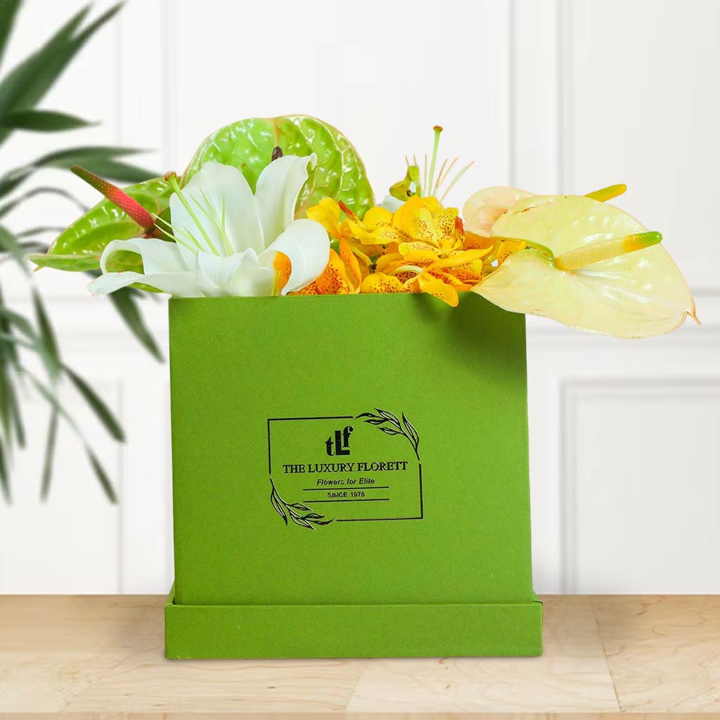 Anthurium Hues The Luxury Floret
