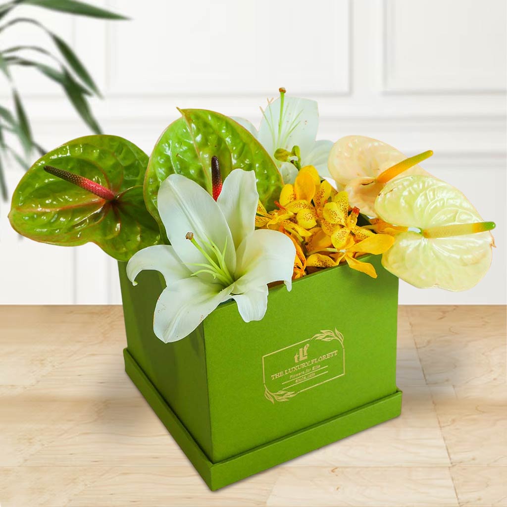 Anthurium Hues The Luxury Floret