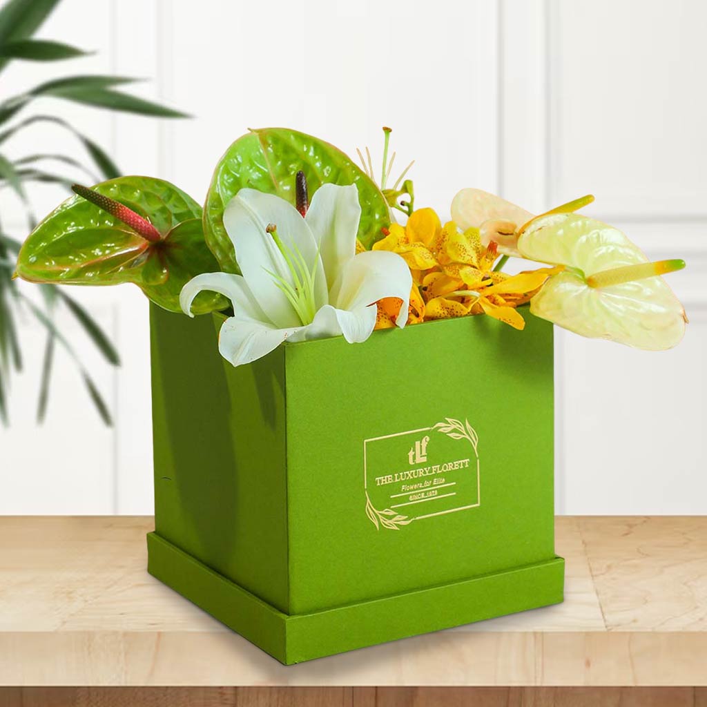 Anthurium Hues The Luxury Floret