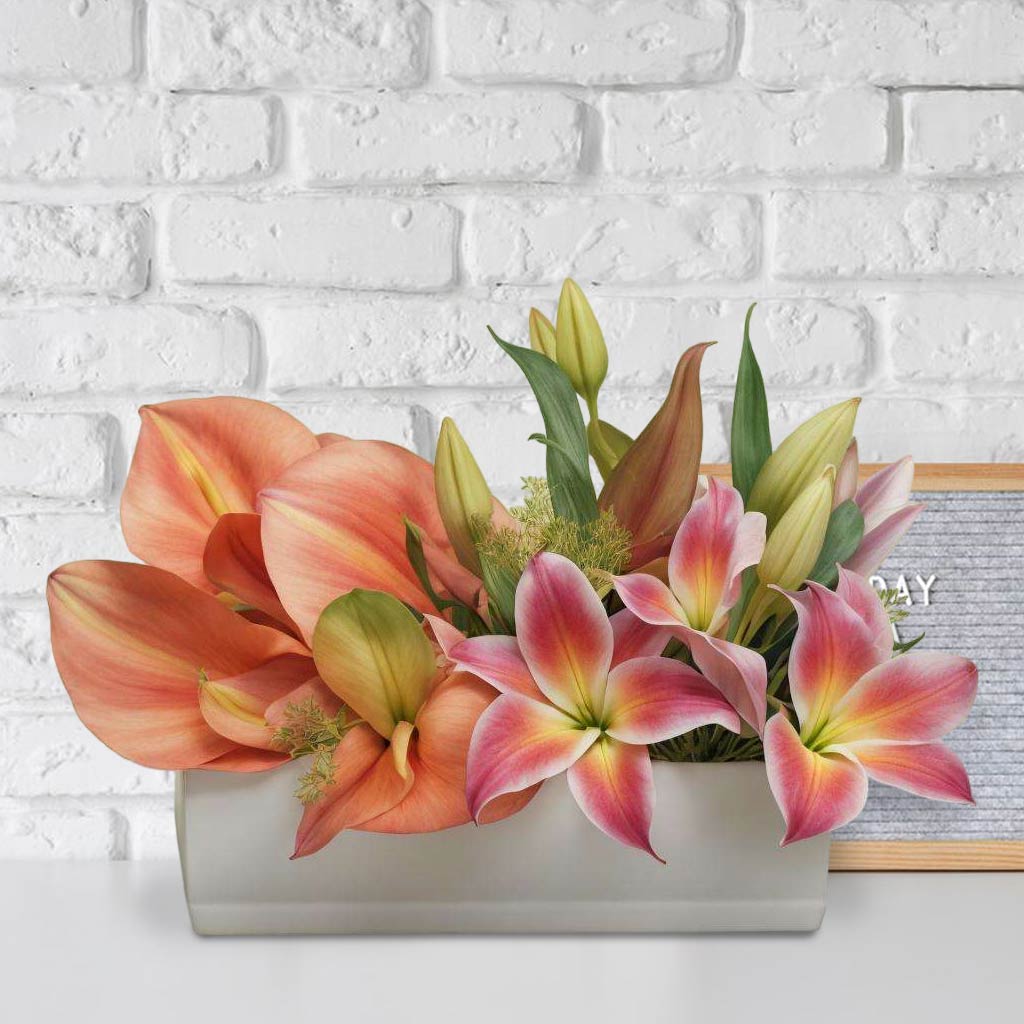 Color Me Pretty The Luxury Floret